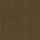 Raw Umber